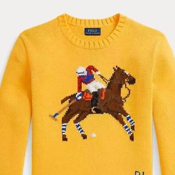 Polo Ralph Lauren Colorful Polo Wool Knit Sweater - Picture 3 of 5